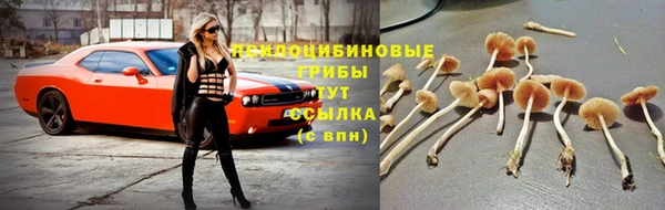 MDMA Медвежьегорск